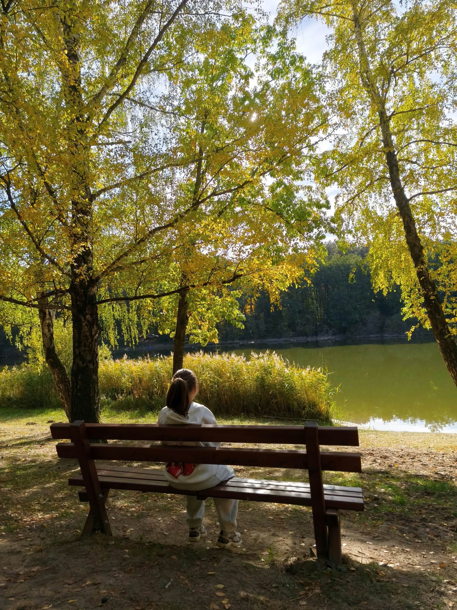 Lulu sitting on a bench beside a lake in autumn.